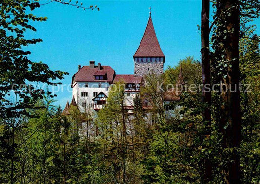 12614873 Weinfelden Château de Weinfelden