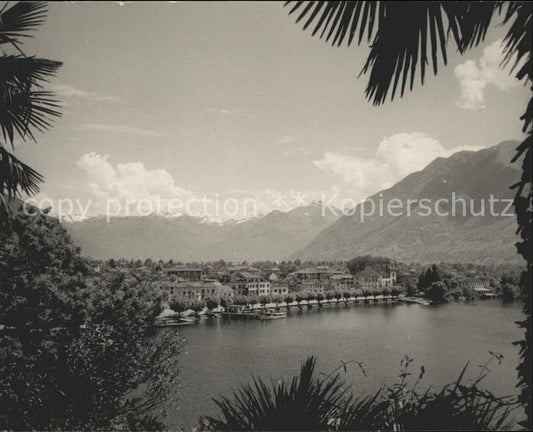 11653977 Ascona TI Lac Majeur Panorama alpin