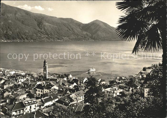 11653978 Vue sur la ville d'Ascona TI avec l'église palmier Laggo Maggiore