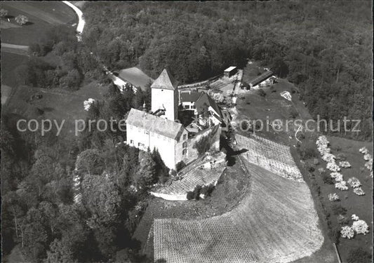 11654201 Stetten SH Château d'Herblingen Arts et Antiquités Photographie aérienne