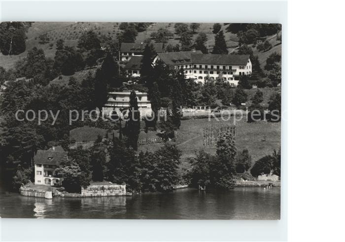 11654397 Vitznau Maison de vacances Smuv au bord du lac des Quatre-Cantons Photo aérienne