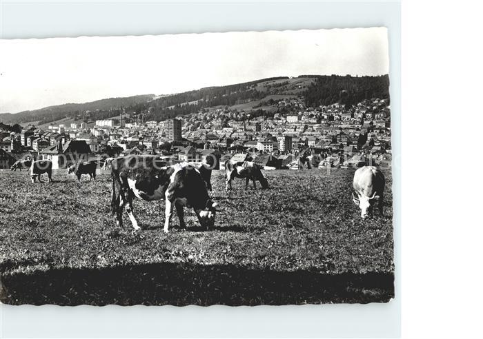 11654443 La Chaux-de-Fonds Vue générale Vaches