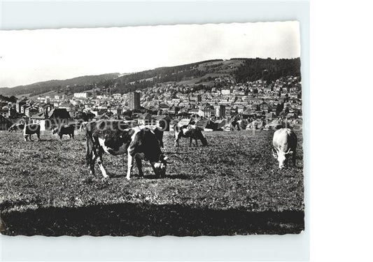 11654443 La Chaux-de-Fonds Vue générale Vaches