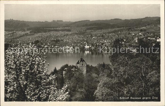 12320710 Zoug ZG Château de Buonas