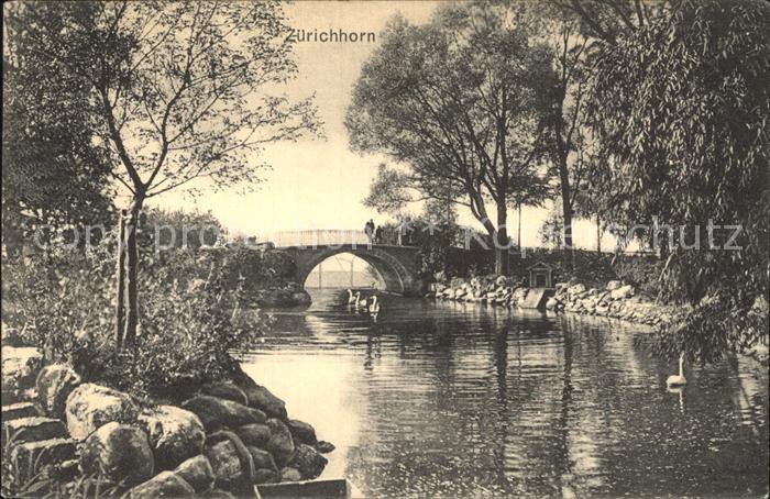 12319384 Zone riveraine du Zuerichhorn sur la rivière Bruecke Schwaene