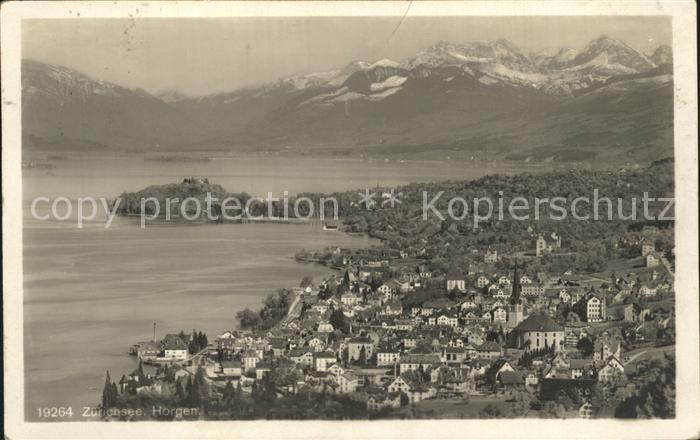 12319408 Horgen ZH Panorama Lac Zurich Alpes Horgen