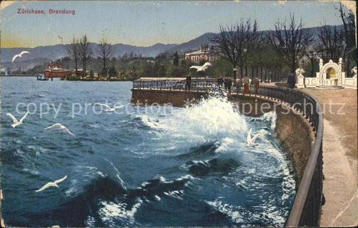 12319428 Promenade au bord de l'eau de Zuerichsee Surf Zuerich