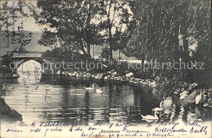 12319511 Zuerichhorn Uferpartie am Fluss Schwaene Bruecke