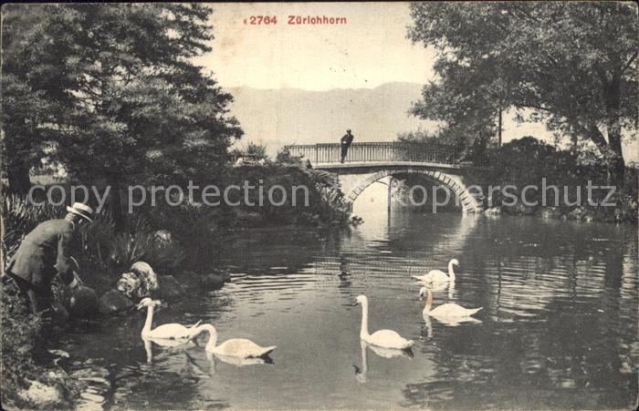 12319524 Zuerichhorn Uferpartie am Fluss Schwaene Bruecke