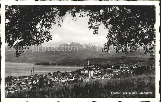 12320935 Thalwil Panorama Zuerichsee gegen den Glaernisch Thalwil