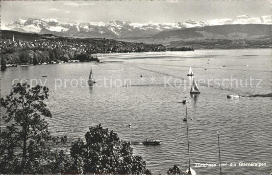 12320976 Zuerich Panorama Zuerichsee Glarner Alpen Zuerich