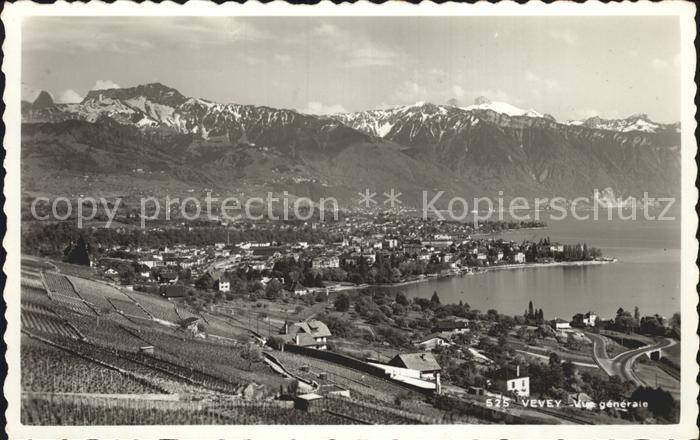 12321030 Vevey VD Panorama Lac Léman Alpes Vevey