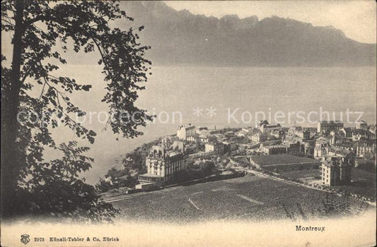 12321132 Montreux VD Panorama Lac Léman et les Alpes Lac Léman Alpes Montreux