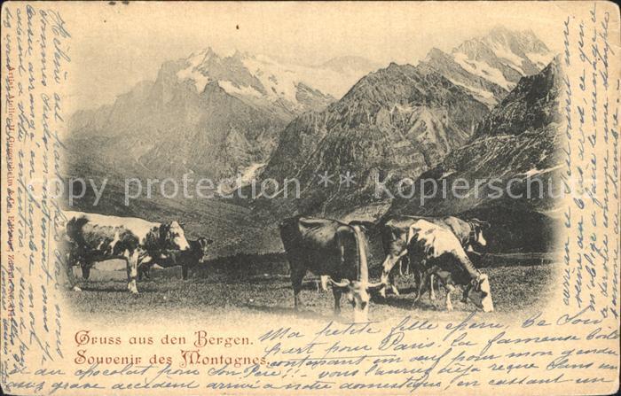 12321179 Vevey VD Souvenir des vaches Montagnes Alpes Vevey