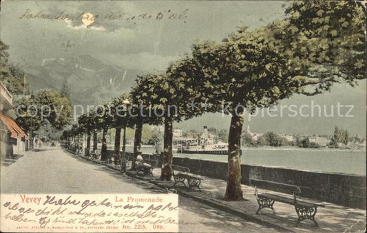 12321186 Vevey VD Promenade Lac Léman Lac Léman Vevey