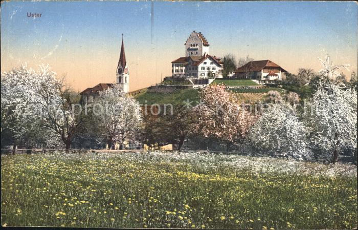 12323285 Uster ZH Église du château Baumbluete Uster ZH