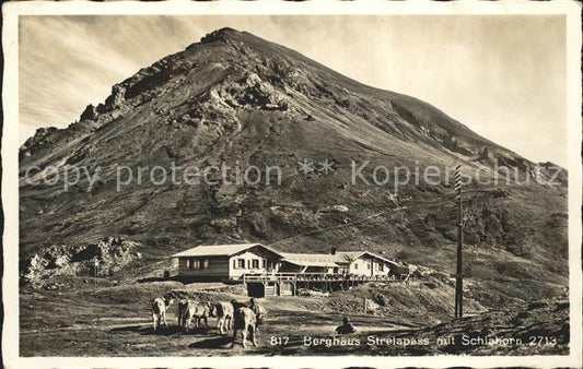 12344664 Davos GR Berghaus Strelapass avec Schiahorn Davos GR