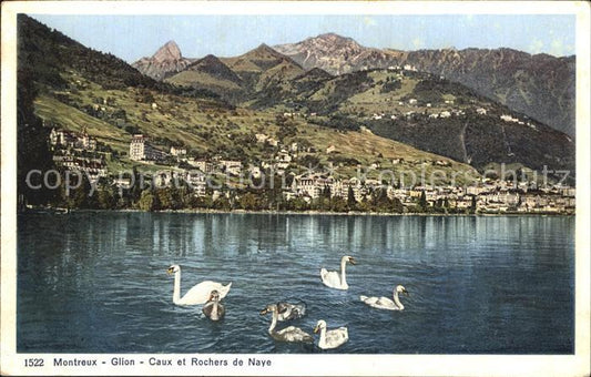 12459172 Montreux VD Glion Caux Rochers de Naye Montreux