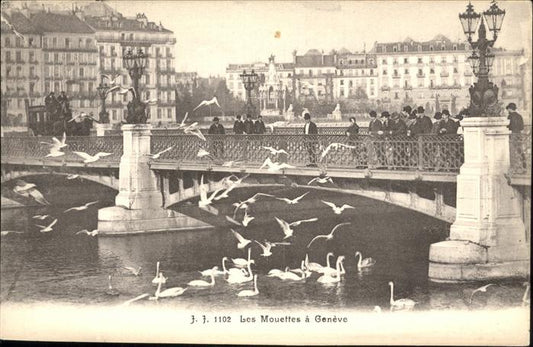 11114007 Geneve GE Mouettes Schwan Bruecke