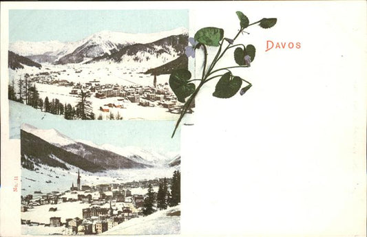 11114952 Davos GR Blume