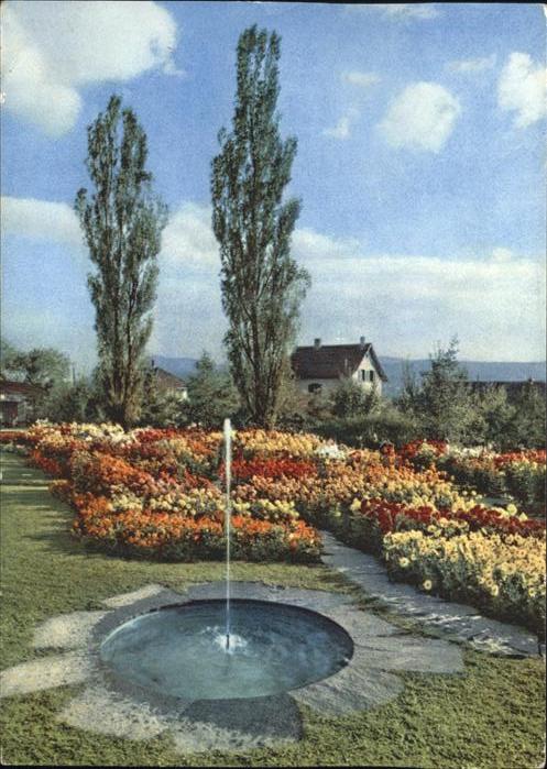 11181534 Zuerich Unter Engstriugen, Gartenschau Zuerich