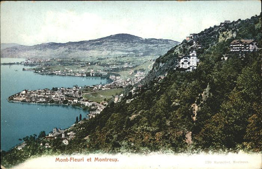 11194046 Montreux VD Mont Fleuri