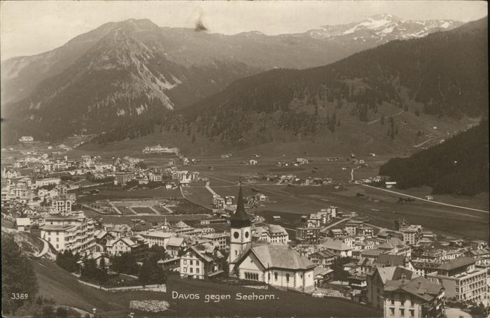 11194244 Davos GR Seehorn