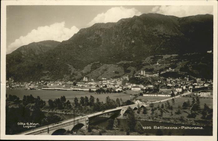 11195579 Bellinzona Bruecke