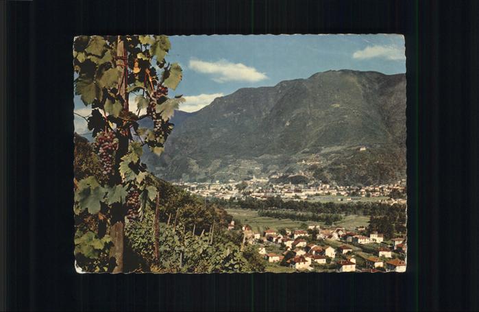 11197896 Bellinzona Ticino Pittoresco