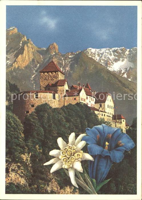 71674085 Vaduz Schloss mit Alpenblick Enzian Edelweiss