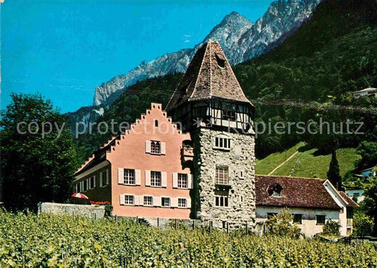 72912082 Vaduz Rotes Haus