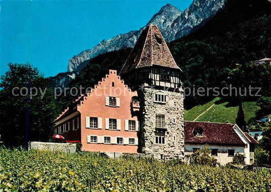 73019080 Vaduz Maison Rouge