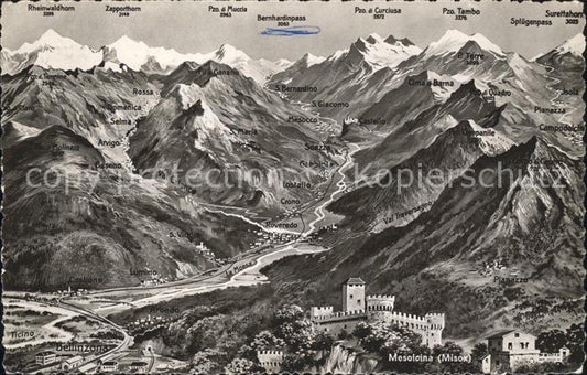 11901682 Bellinzona Panoramakarte mit Alpen Mesolcina Burg