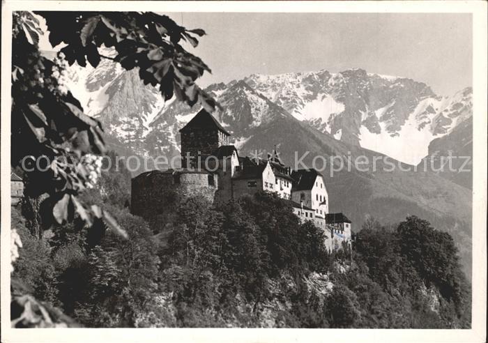 71969298 Liechtenstein  Schloss Vaduz