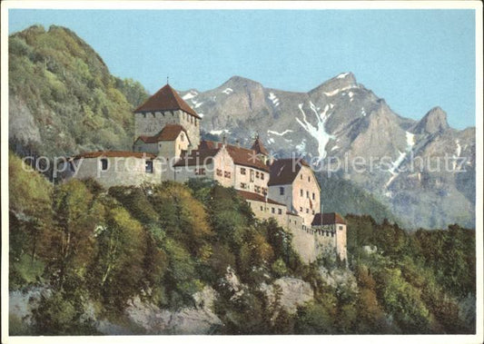 72048989 Liechtenstein  Schloss Vaduz