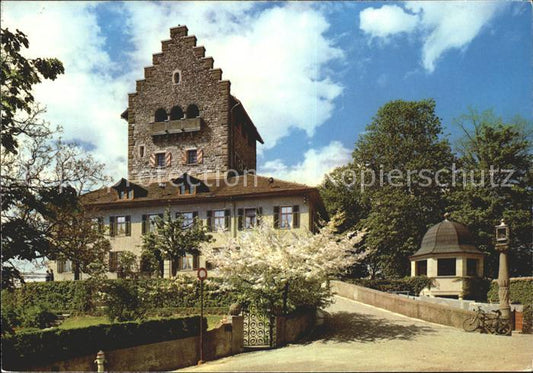 12114035 Uster ZH Schloss Uster