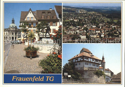 12223346 Frauenfeld Schloss Brunnen Fliegeraufnahme