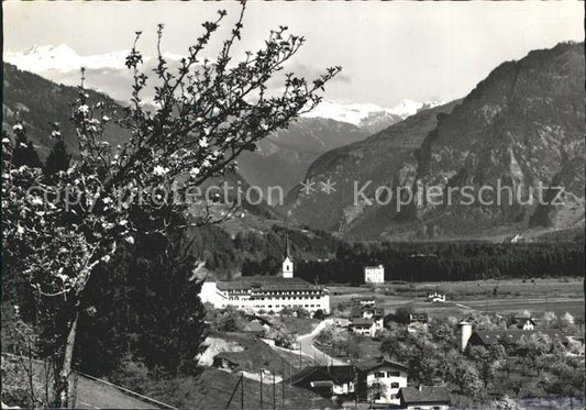 12232589 Cazis mit Ringelspitz Baumbluete