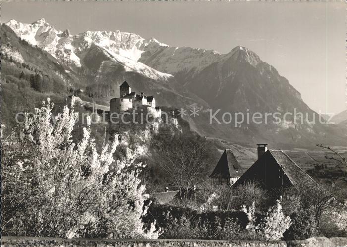 72295073 Vaduz Schloss mit Rappenstein und Falknis Raetikon Baumbluete