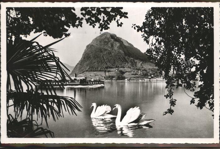 71293858 Lago di Lugano TI Monte S. Salvatore Schwaene