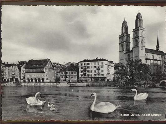 11294597 Zuerich Limmat Schwaene