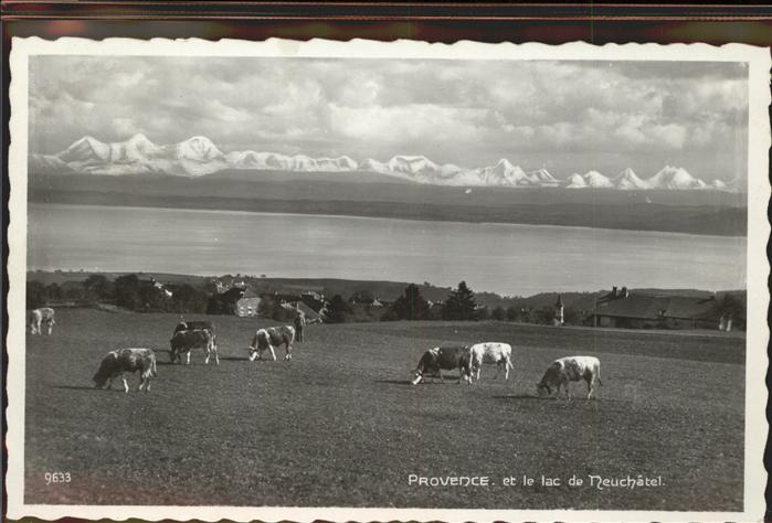 11294672 Neuchâtel NE Lac Kuehe Neuchâtel