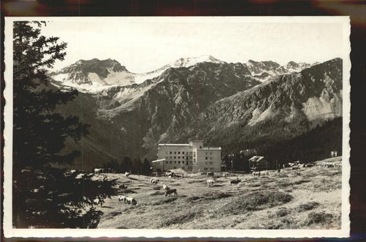 11305235 Arosa GR Berghotel Praetschli avec Valbellahorn Feldpost Arosa