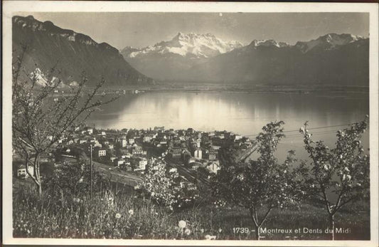 11309630 Montreux VD Montreux et Dents du Midi