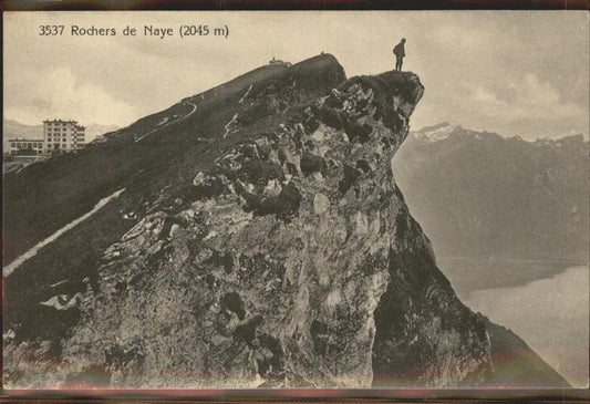 11306584 Montreux VD Rochers de Naye Gipfel Hotel Berner Alpen