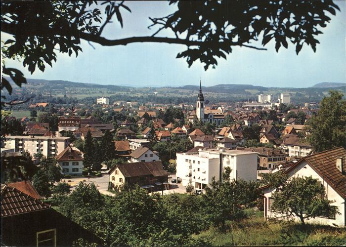 11381556 Weinfelden Panorama