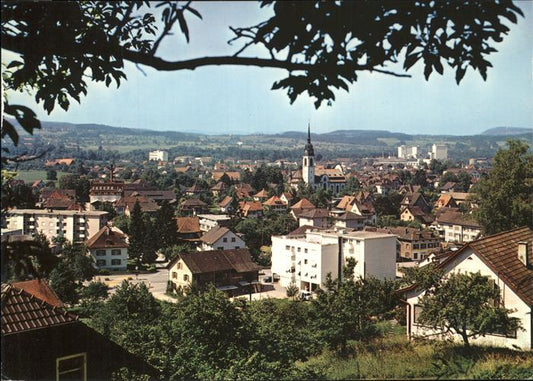 11381556 Weinfelden Panorama