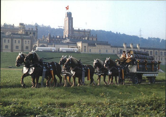 11395448 Rheinfelden AG Brauerei Feldschloesschen Sechsspaenner