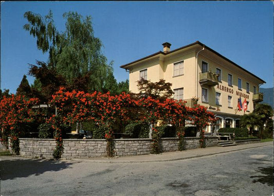 11395595 Ascona TI Hotel Mirador