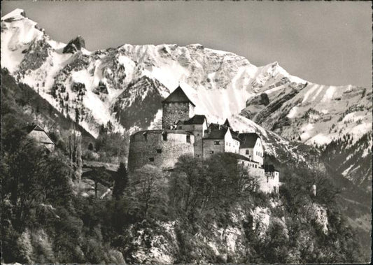 71388515 Liechtenstein  Schloss Vaduz